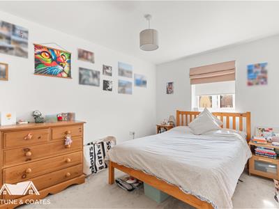 Picture 8